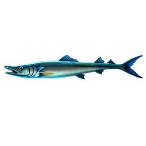 Mythical Barracuda Png Kes PNG Image