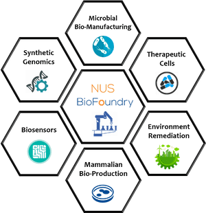 Synthetic Biology , Png Download - Synthetic Biology, Transparent Png PNG image with transparent background