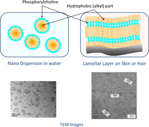 Nanoparticle Dispersionand Lamellar Structure Explanation PNG image with transparent background
