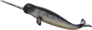 Narwhal Profilewith Tusk PNG Image