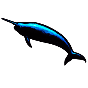 Narwhal Silhouette PNG xbs81 PNG image with transparent background
