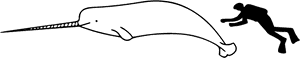 Narwhal Size - Narwhal Size To Human PNG image with transparent background