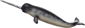 Narwhal Transparent PNG image with transparent background
