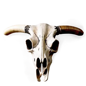 Native American Cow Skull Png Jwb88 PNG Image