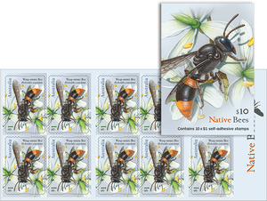 Native Bee Wasp Mimic Stamp Sheet PNG