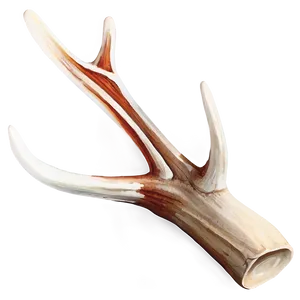 Natural Deer Antler Graphic Png Gch PNG Image