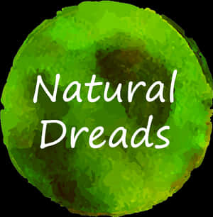 Circle, HD Png Download PNG image with transparent background