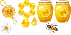 Image Transparent Stock Honey Bee Honeycomb Theme Transprent - Honeycomb, HD Png Download PNG image with transparent background