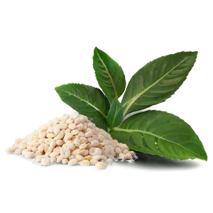 Natural Ingredients Png Upg70 PNG Image