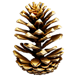 Natural Pine Cone PNG jkn PNG