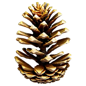 Natural Pine Cone Png Jkn PNG Image