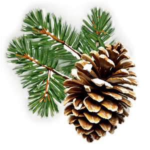 Natural Pine Cone PNG vli PNG