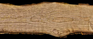 Natural Wood Texture PNG image with transparent background