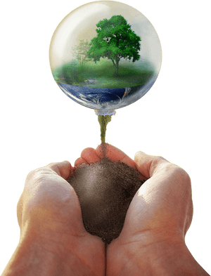 Mud In Hands Png Image - Portable Network Graphics, Transparent Png PNG with transparent background