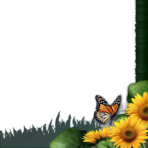 Nature Frame PNG efb PNG