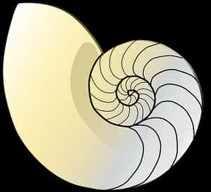 Nautilus Shell Graphic PNG image with transparent background