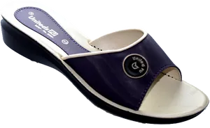 Navy White Ladies Slipper Chappal PNG Image