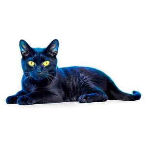 Nebula Cat Png 06242024 PNG Image