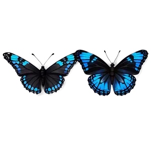 Neon Black Butterfly Png Rcq58 PNG Image