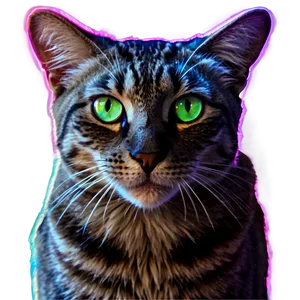 Neon Cat Filter Png 06282024 PNG Image