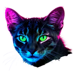 Neon Cat Filter Png Toh PNG Image