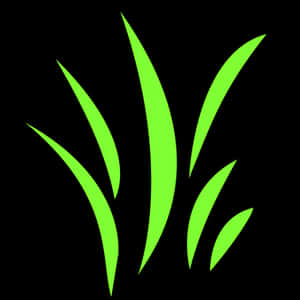 Neon Green Grass Blades Graphic PNG with transparent background