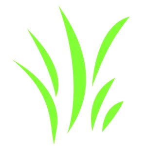 Neon Green Grass Blades Vector PNG Image