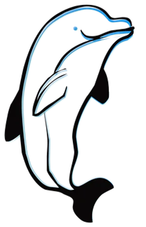 Neon Outline Dolphin Art PNG Image