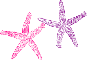 Neon_ Outline_ Starfish PNG Image