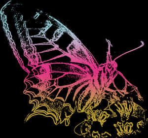 Neon Outlined Butterfly PNG image with transparent background