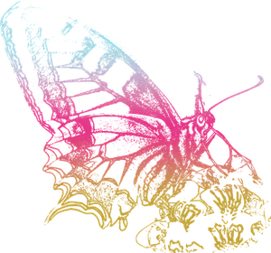 Neon Outlined Butterflyon Black PNG Image