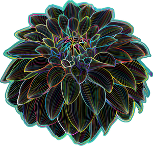Chrysanths,plant,flower - Circle, HD Png Download PNG image with transparent background