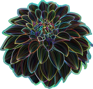 Neon Outlined Chrysanthemum Flower PNG Image