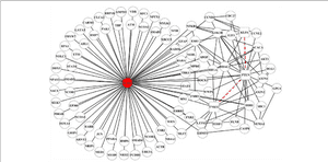 Network Visualization Of Mirscoppi Sub-network Formed - Common Fig PNG image with transparent background