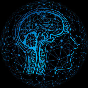 Neural Network Brain Illustration PNG with transparent background