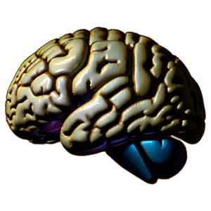 Neuro Brain Emoji Png 06132024 PNG Image