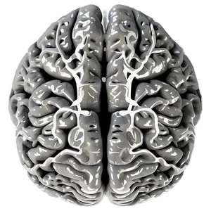 Neurology Brain Outline Png Vaq PNG Image