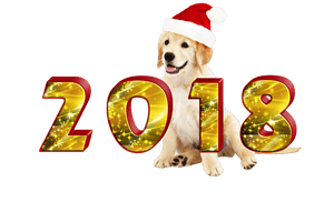 New Year2018 Golden Retriever Santa Hat PNG image with transparent background
