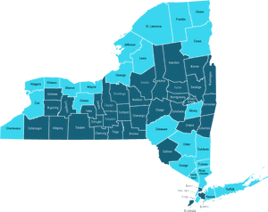 Eee Virus Map New York, HD Png Download PNG image with transparent background