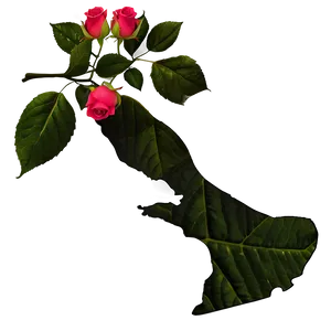 New York State Flower Rose Png Lcu PNG Image