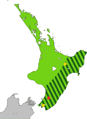 Heteralocha Acutirostris Distribution - New Zealand Forest Map, HD Png Download PNG image with transparent background