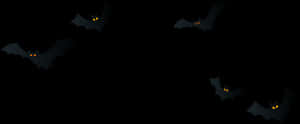 Nighttime Bats Silhouette PNG image with transparent background