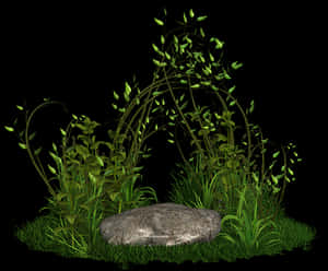 Nighttime Garden Scene PNG image with transparent background