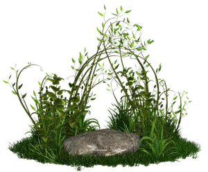 Nighttime Garden Scene PNG Image
