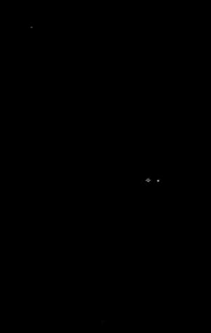 Nighttime Stroll Under Stars.jpg PNG image with transparent background