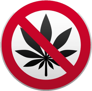 No Drugs Png, Transparent Png PNG with transparent background