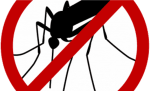 Global Insect Repellent Market - No To Mosquito Png, Transparent Png PNG image with transparent background