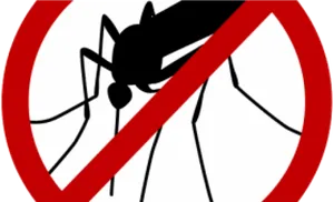 No Mosquito Sign Graphic PNG Image