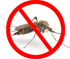 No Mosquito Sign PNG Image