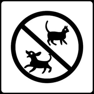No Pets Allowed Sign PNG image with transparent background